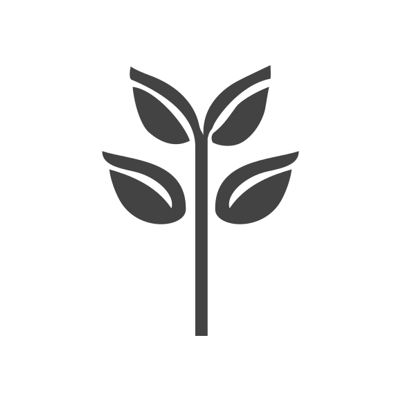 Good Soil Bible Memory